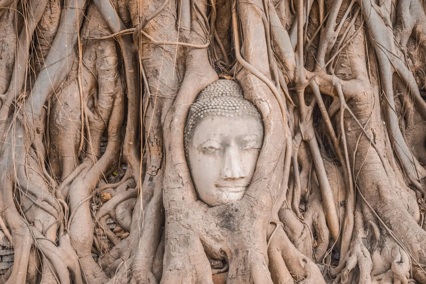 Historieparken i Ayutthaya