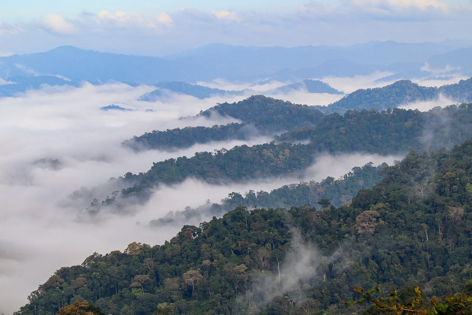 Utsikten fra Phanoen Thung i Kaeng Krachan nasjonalpark