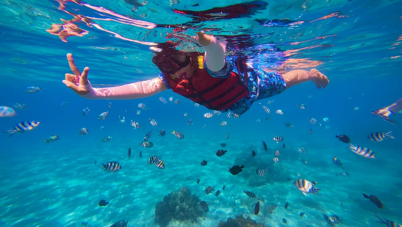 Snorkling blant tropiske fisker