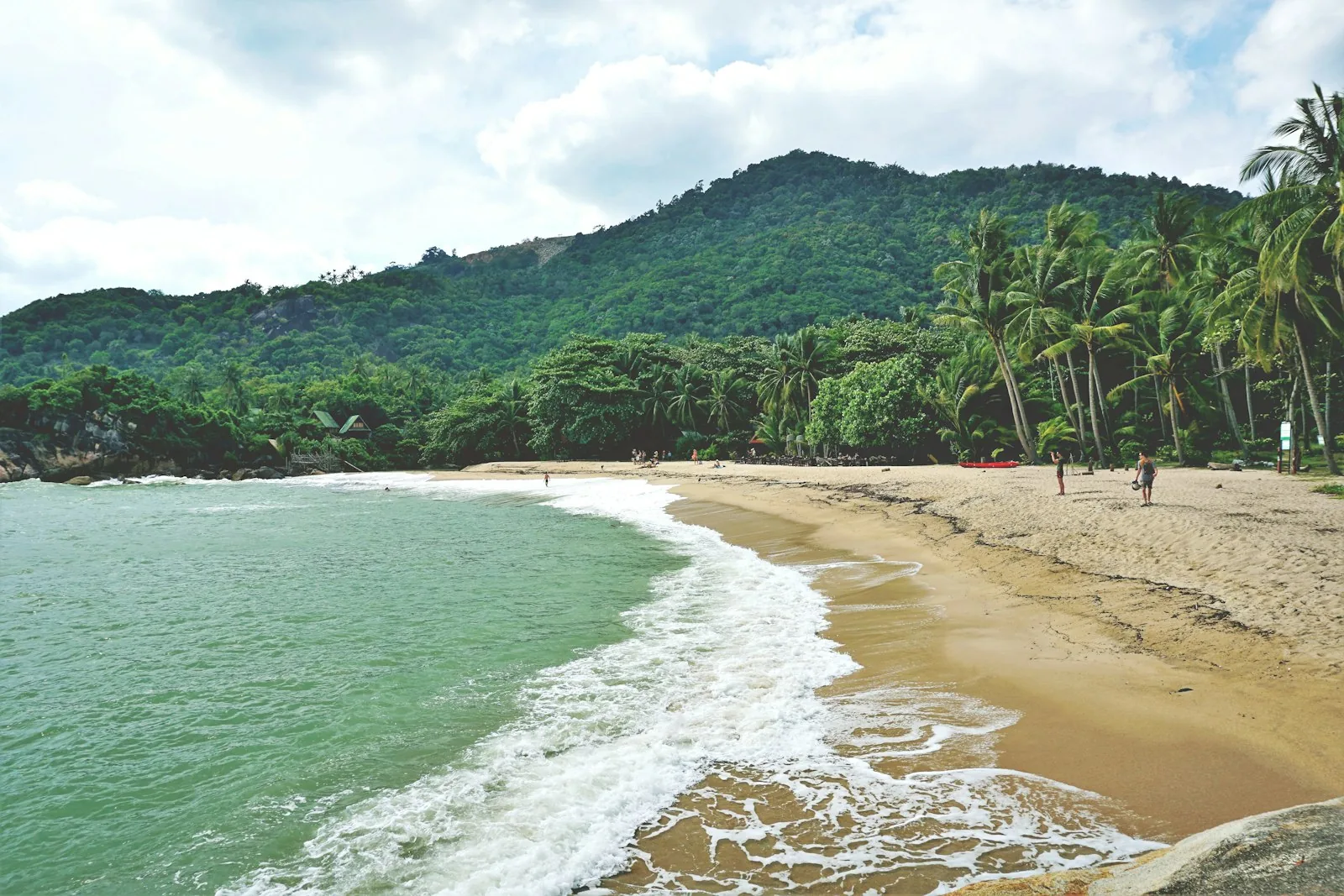 Uberørt strand med jungel på Koh Phangan