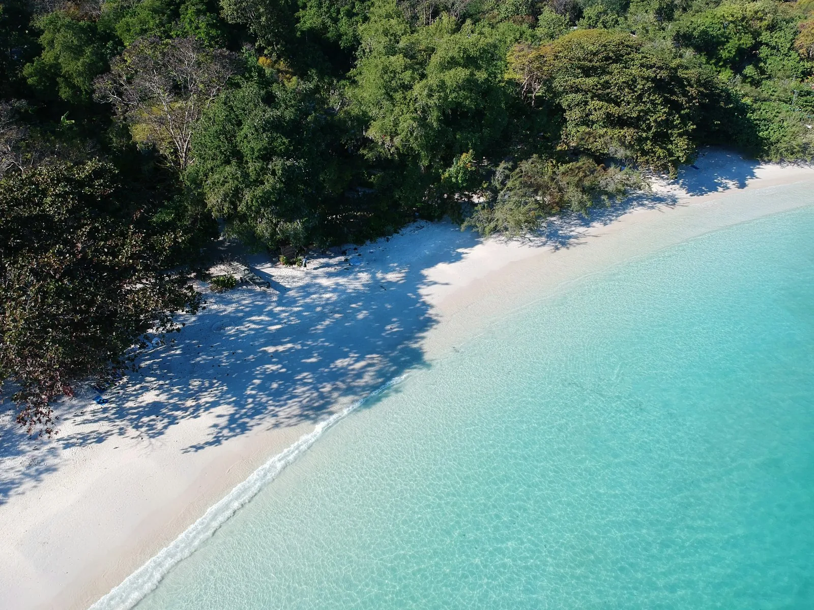 Strand omkranset av trær på Koh Samet